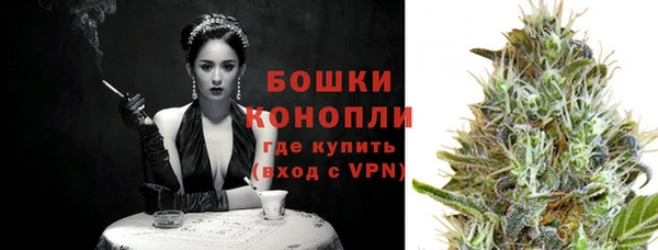 соль ск Осинники