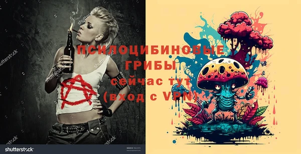 СК Билибино